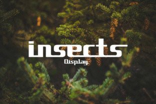 Download Insects - Premium Resources